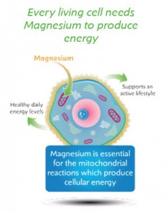 Magnesium and your cellular health