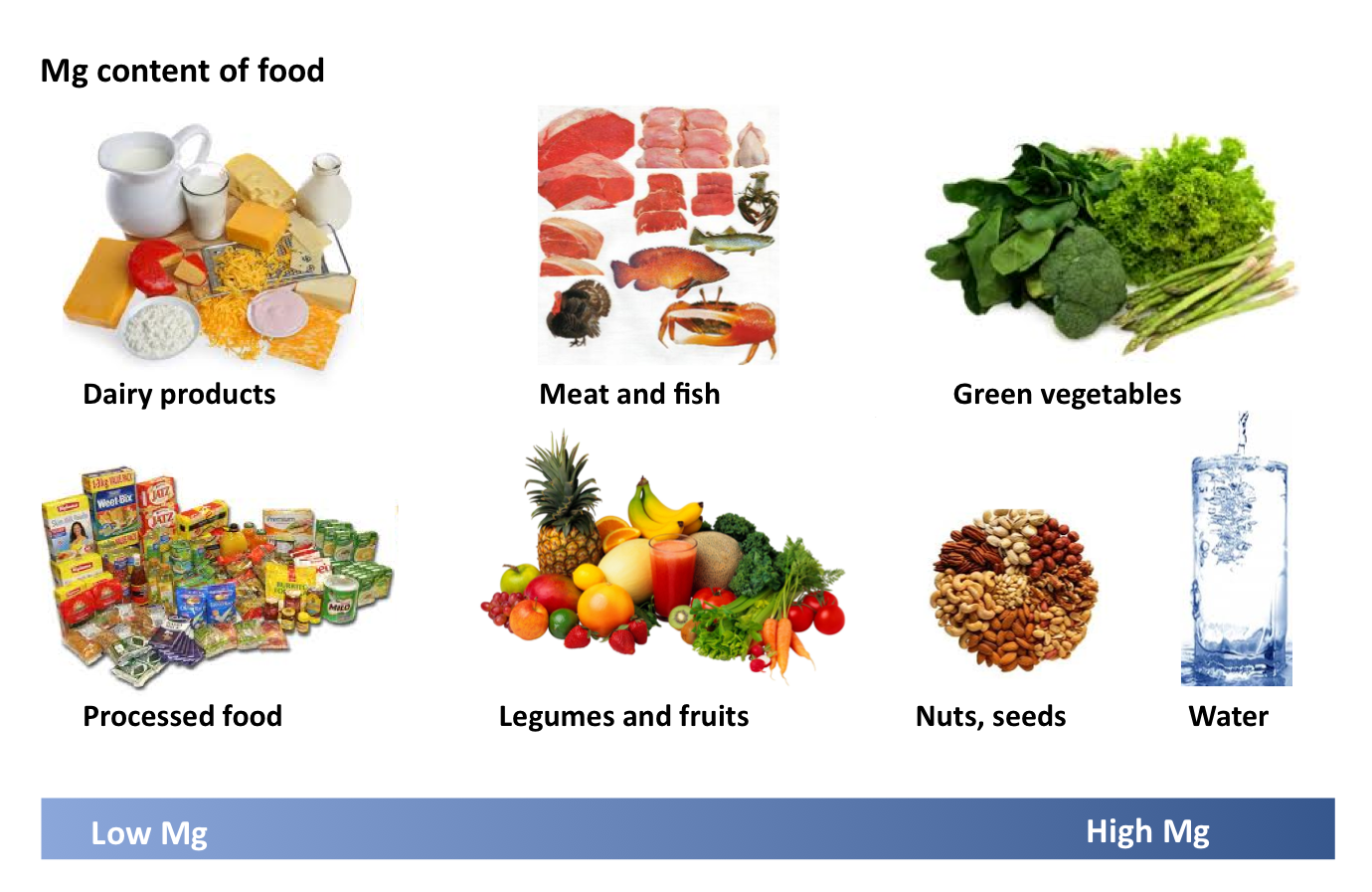 Food levels - The Magnesium Guide
