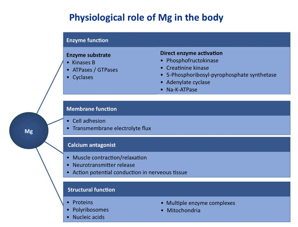 Role of Mg